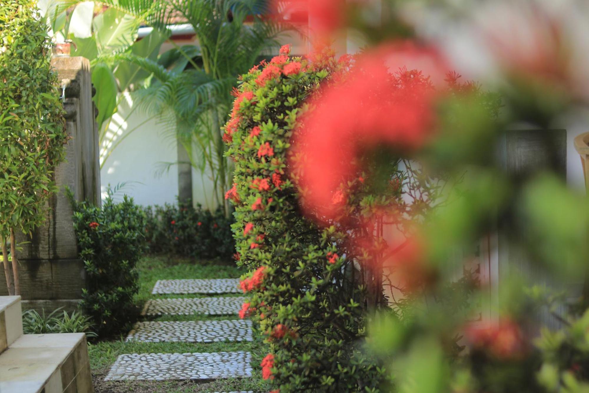 Villa Seruni Lovina 外观 照片